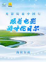 全集免费观看超清