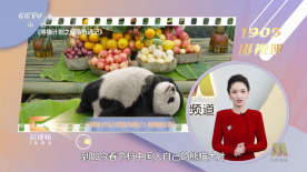 完结高清影视